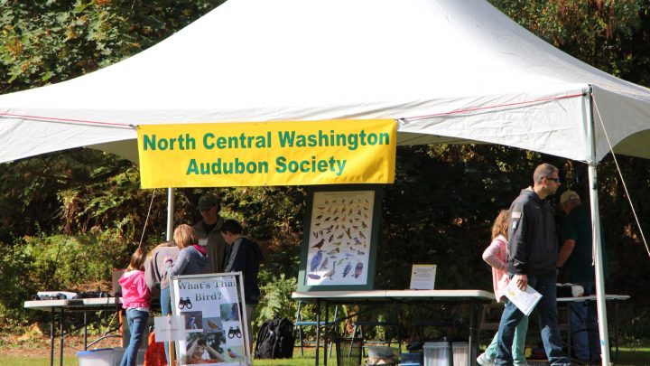 NCW Audubon Society