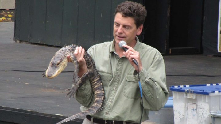 Reptile Man & gator