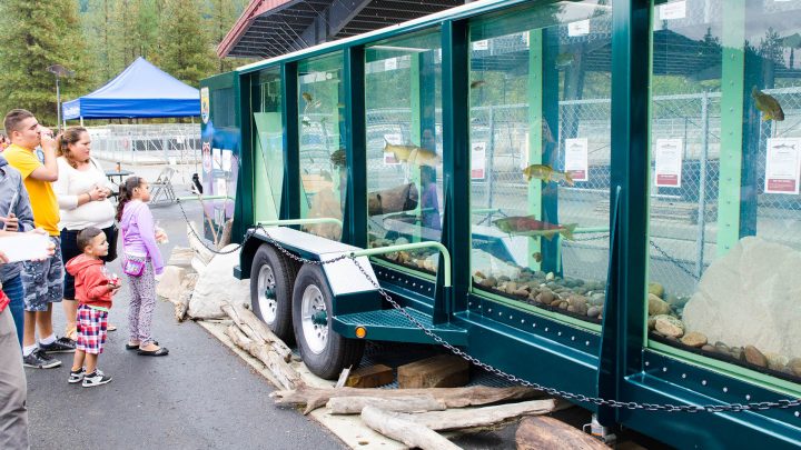 Giant Fish Aquarium