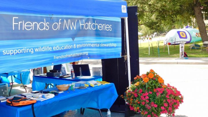 Friends of NW Hatcheries