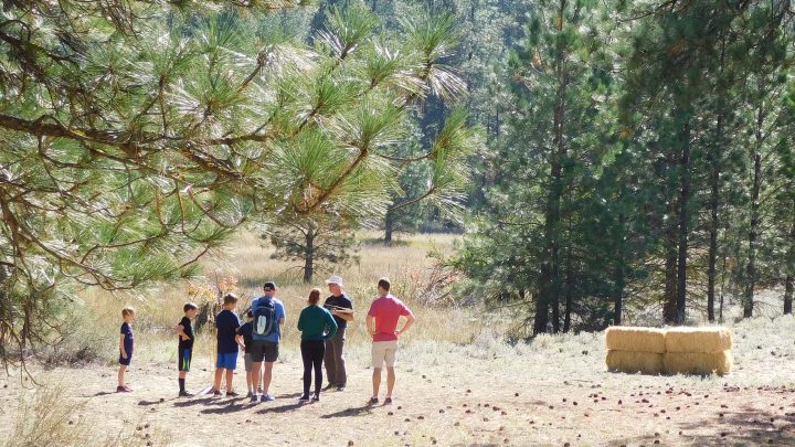 Atlatl throw