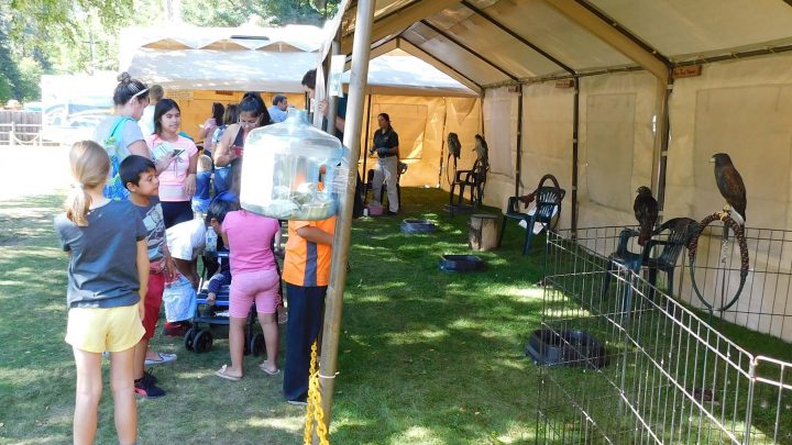 Sardis Raptor Center exhibit