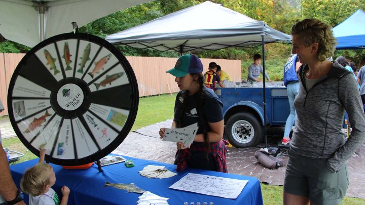 Wheel of Fish